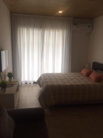 Apartment 44